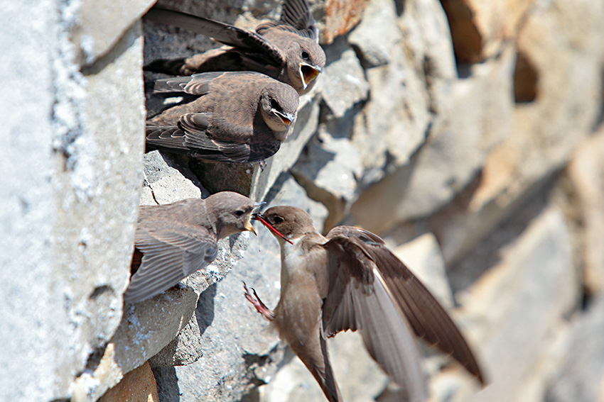 Uno a lui,uno te e uno a me